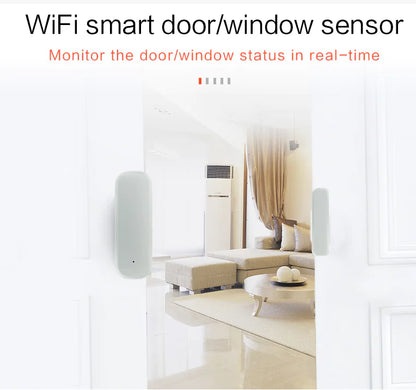 Tuya WiFi Door Sensor with Alexa and PIR Alarm