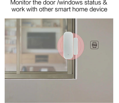 Tuya WiFi Door Sensor with Alexa and PIR Alarm